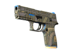 P250 | Exchanger image